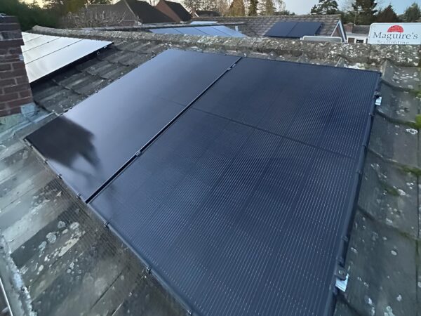 penn black solar panels with bird protection